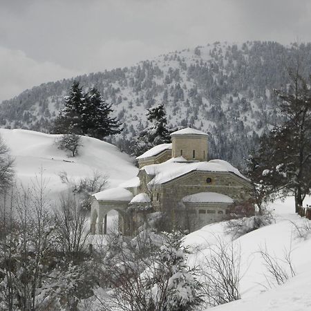 Guesthouse Theodorou Elati  Экстерьер фото