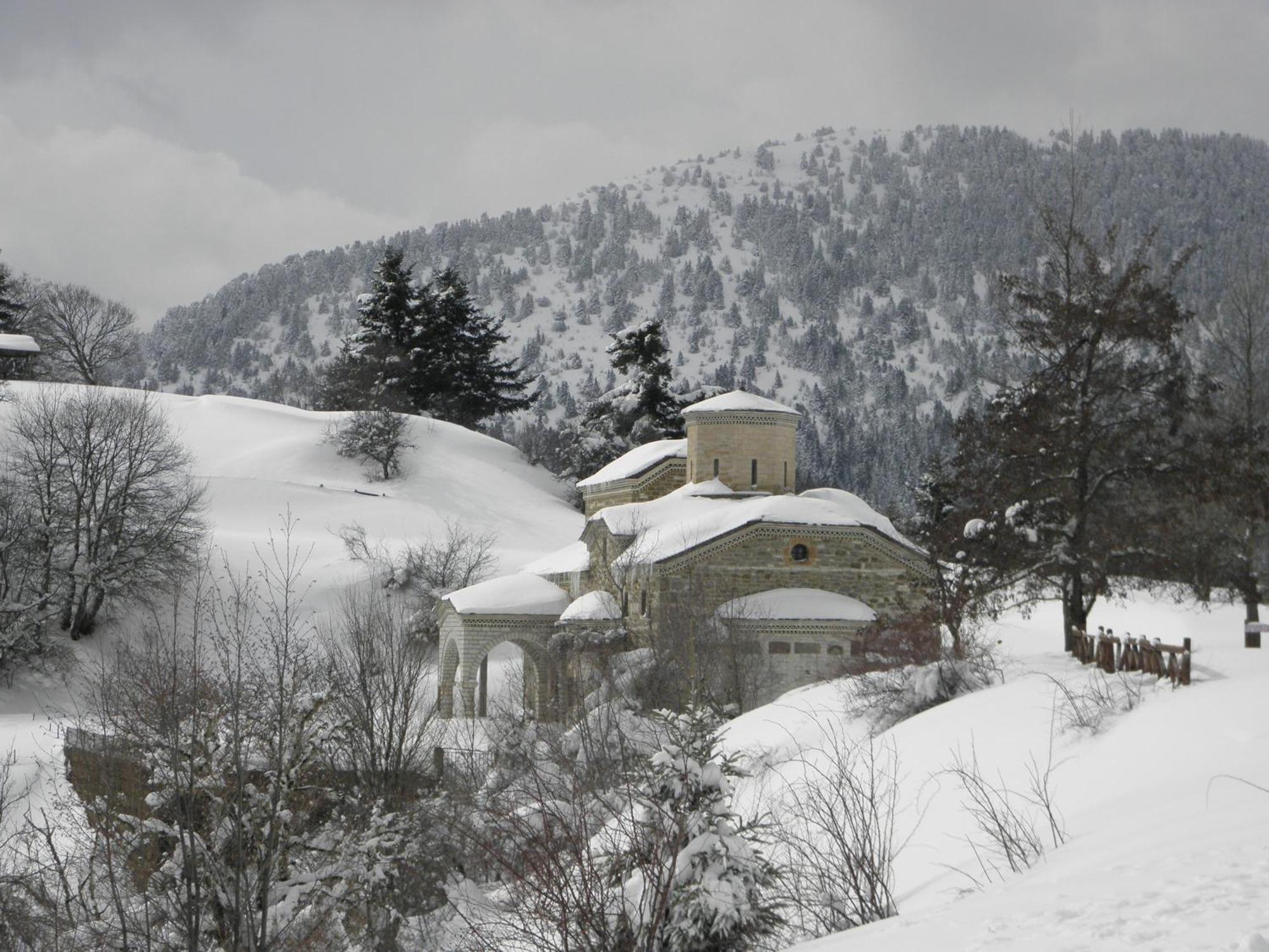 Guesthouse Theodorou Elati  Экстерьер фото