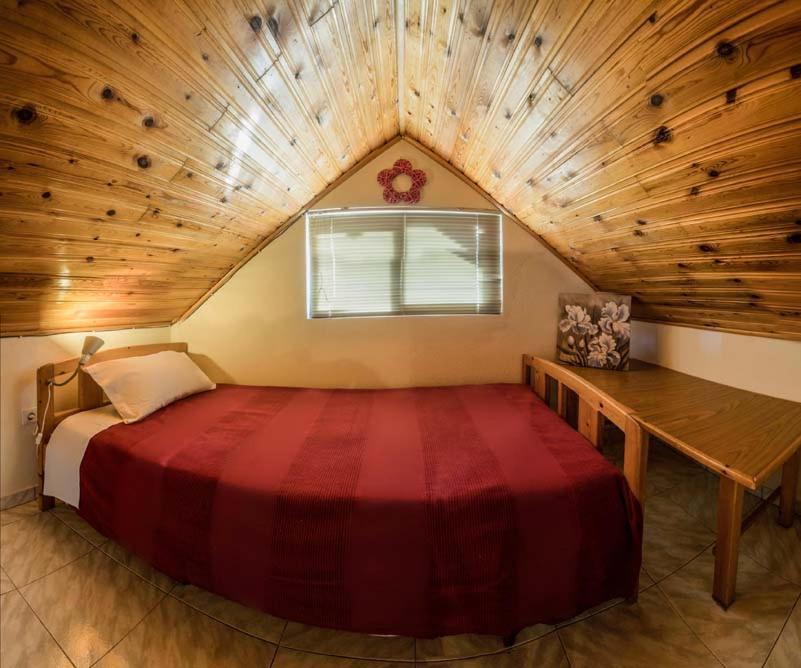 Guesthouse Theodorou Elati  Экстерьер фото